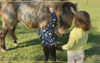 Klein paard van Equimind coaching Kontich samen met kinderen.