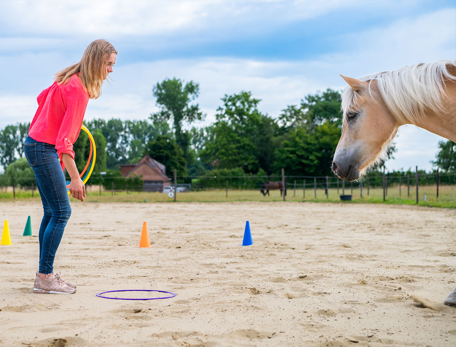 Paardencoach Annelies Hens traint haar paard voor een sessie met attributen. 