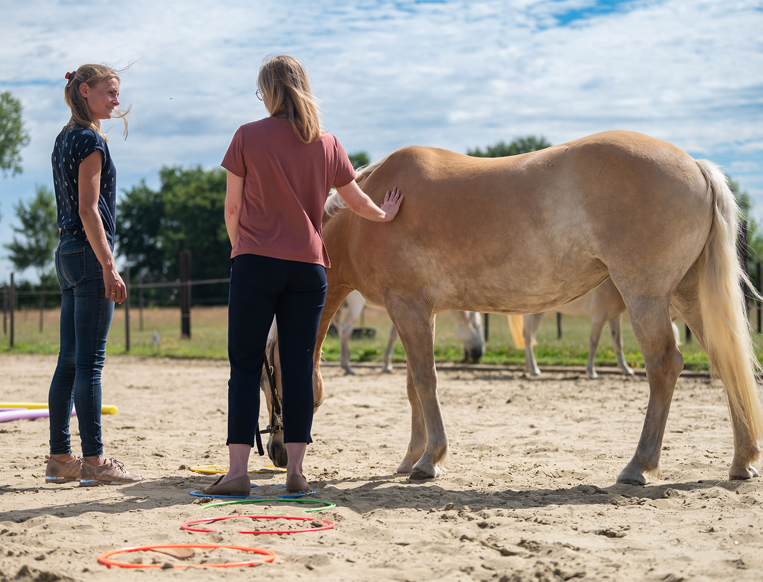 Persoonlijke groei coaching met paarden in Kontich. 